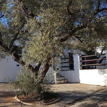 מלון אורגיווה Gateway To The Alpujarras, 'Cortijo Derry' מראה חיצוני תמונה