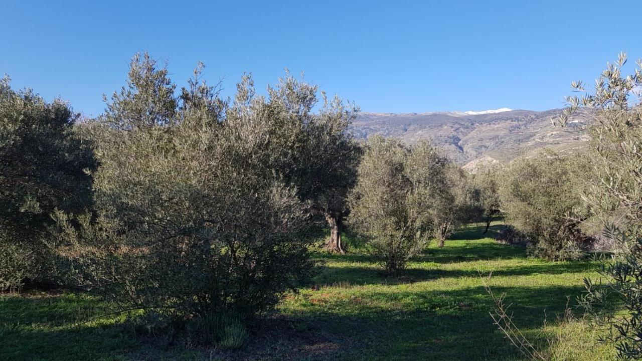 מלון אורגיווה Gateway To The Alpujarras, 'Cortijo Derry' מראה חיצוני תמונה