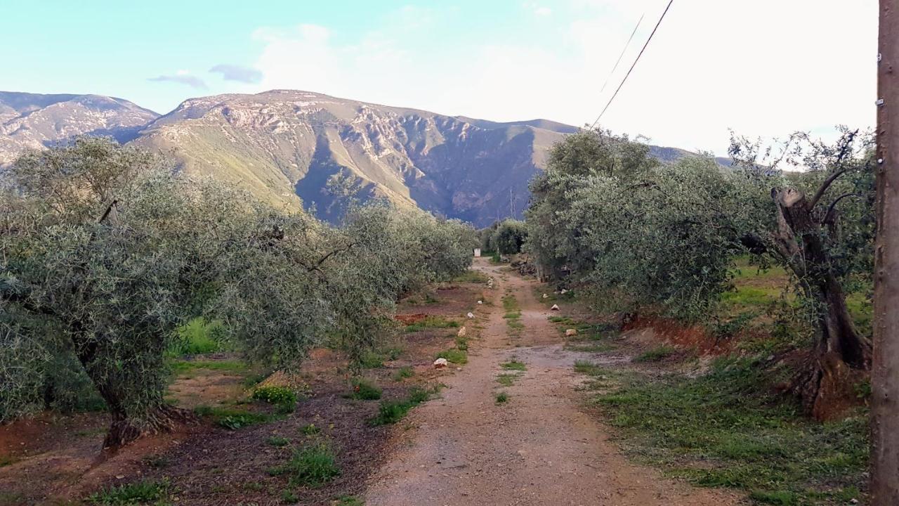 מלון אורגיווה Gateway To The Alpujarras, 'Cortijo Derry' מראה חיצוני תמונה
