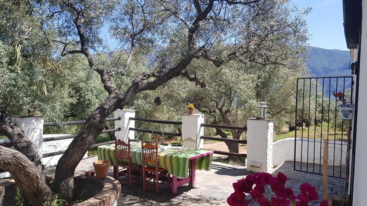 מלון אורגיווה Gateway To The Alpujarras, 'Cortijo Derry' מראה חיצוני תמונה