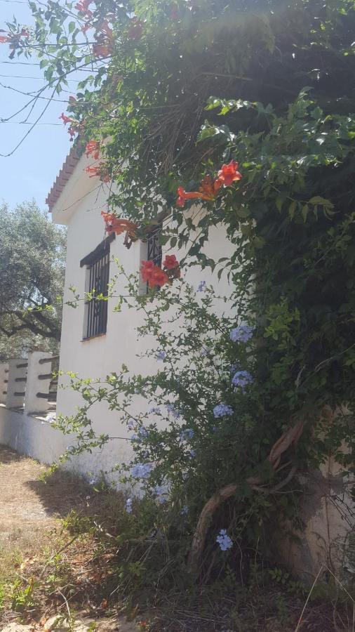 מלון אורגיווה Gateway To The Alpujarras, 'Cortijo Derry' מראה חיצוני תמונה