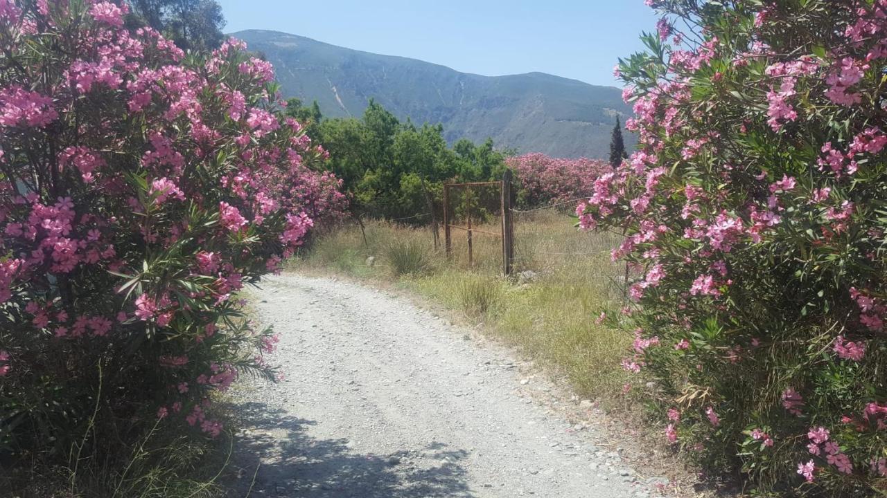 מלון אורגיווה Gateway To The Alpujarras, 'Cortijo Derry' מראה חיצוני תמונה